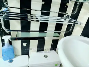 Stainless Multiple Towel Hanger