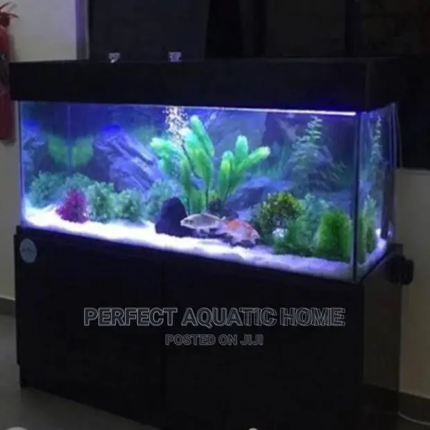 Aquarium Fish Tank 5ft