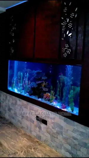 Aquarium Fish Tank Half Wall