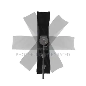 Strip Softbox 30*120cm With Grid