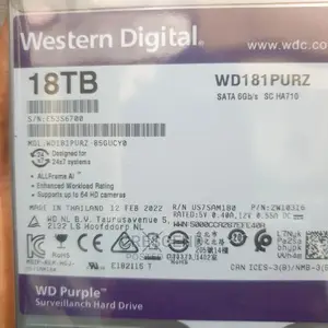 18tb Wd Surveillance HDD