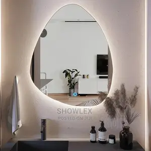 LED Mirror Egg Shape