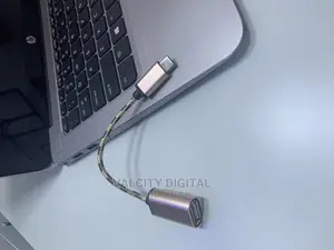 Type C to YSB Type a Converter