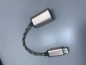 Type C to YSB Type a Converter