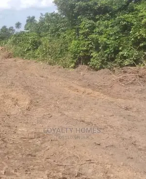 Well Located Hectares of Land for Sale.