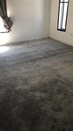 Rugs for Living Room