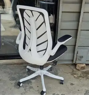 Office Directors Chair