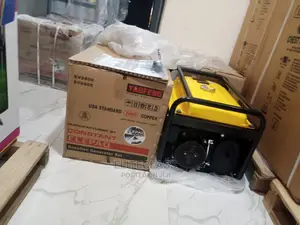 Single Phase Elepaq Constant 4.5kva Manual Generator SV6800