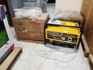 Best and Quality Elepaq Constant 4.5kva Manual Generator