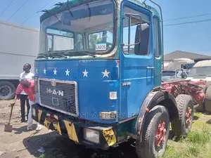 Man TGA Diesel Truck Blue 1998