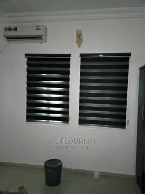 Window Blinds