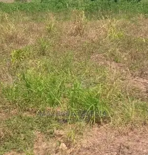 30 Acres for Sale at Ibeju Lekki