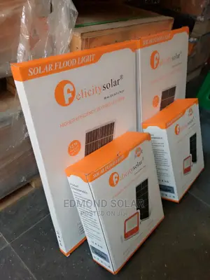 100W Felicity Solar Street Light One Year Warranty