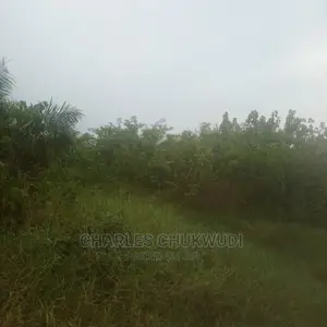 220 Plots of Land at Ibeju Lekki Lagos