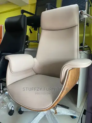 Jackson High Quality Executive M.D Chairs