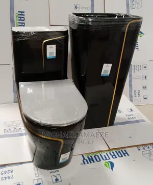 Black Master Water Closet With Standing Basin