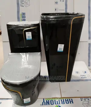 Black Master Water Closet With Standing Basin