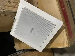 Square Inwall Ceiling Speaker 50w