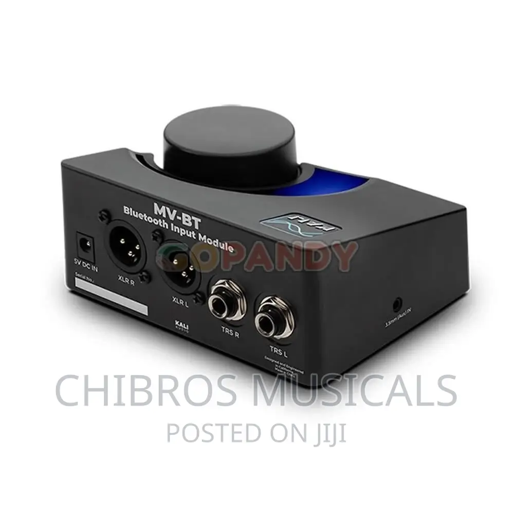 Kali MV-BT Mountain View Bluetooth Input Module
