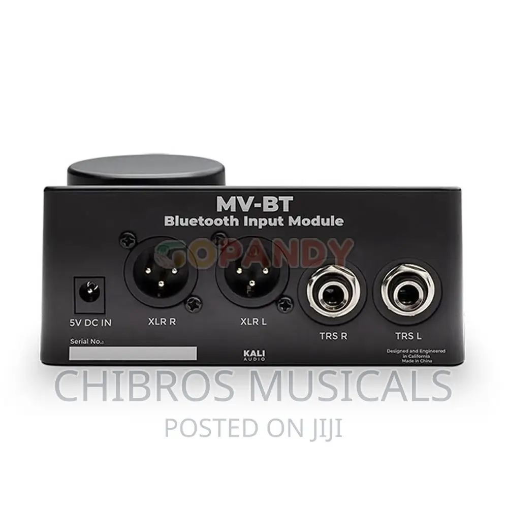 Kali MV-BT Mountain View Bluetooth Input Module