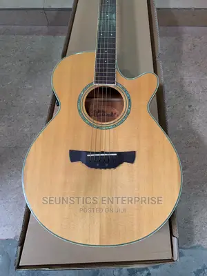 Quality Crafter Sure Plus Electro Acoustic Guitar