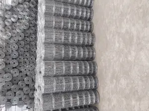 Cttle Mesh