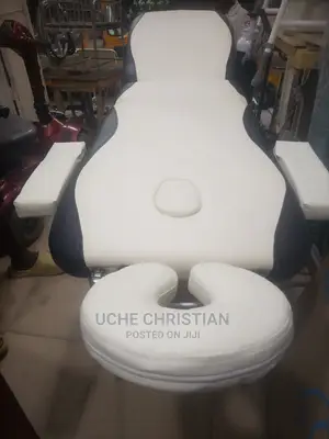 Executive Massaging Bed