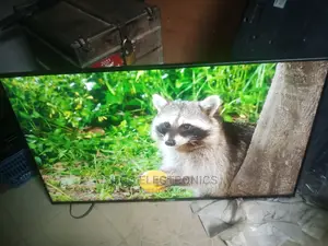50 Inches Sony