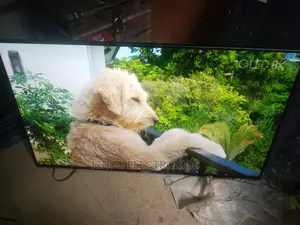 50 Inches Sony