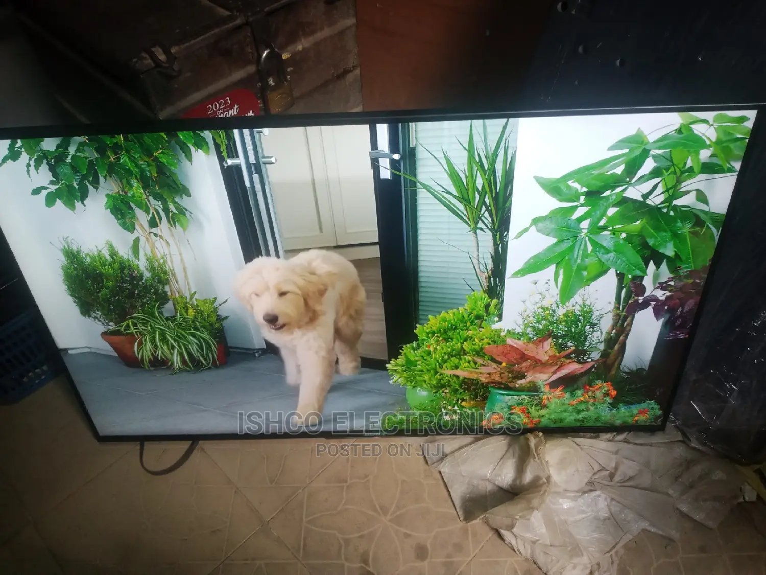 50 Inches Sony