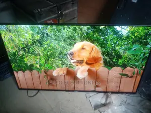 50 Inches Sony
