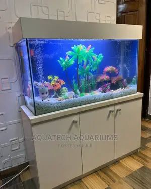 Aquarium Fish Tank