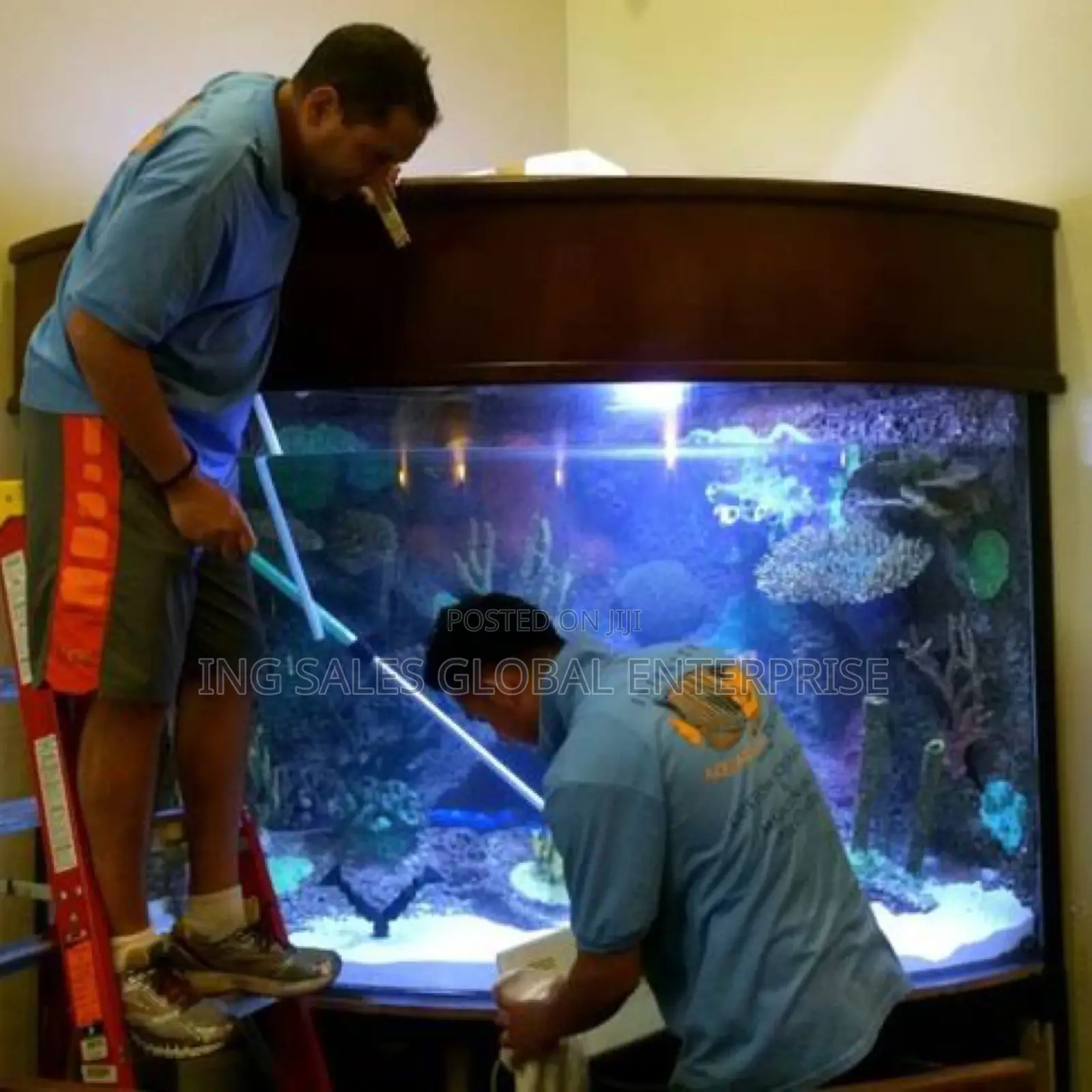 Aquarium Cleaning Service