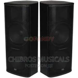 TT-55 Dual 15′′ Full Range Speakers – Pair