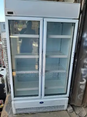 Display Standing Chiller