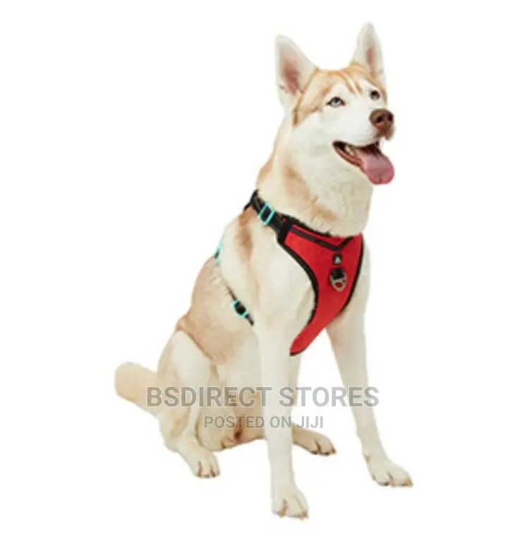Pets at Home 3 Peaks RED MEDIUM Control Ascent Dog Harness