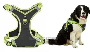 Pets at Home 3 Peaks SMALL GREEN Control Ascent Dog Harness