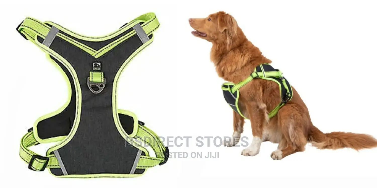 Pets At Home 3 Peaks Control Ascent GREEN MEDIUM Dog Harness