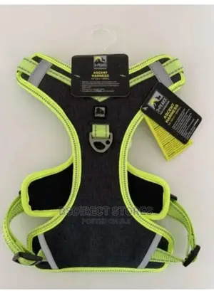 Pets At Home 3 Peaks Control Ascent GREEN MEDIUM Dog Harness