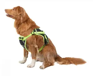 Pets At Home 3 Peaks Control Ascent GREEN MEDIUM Dog Harness