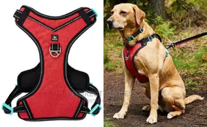 Pets at Home 3 Peaks Control Ascent RED LARGE Dog Harness