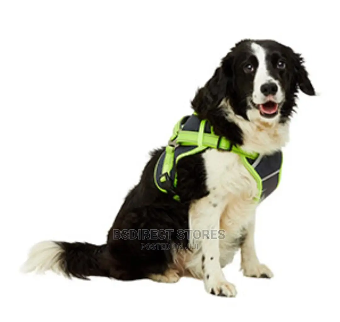 3 Peaks Grey SMALL X- Trail Dog Reflective Trim Harness