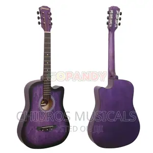 Olive Tree Cutaway Acoustic Guitar – Lilac Series (Purple)