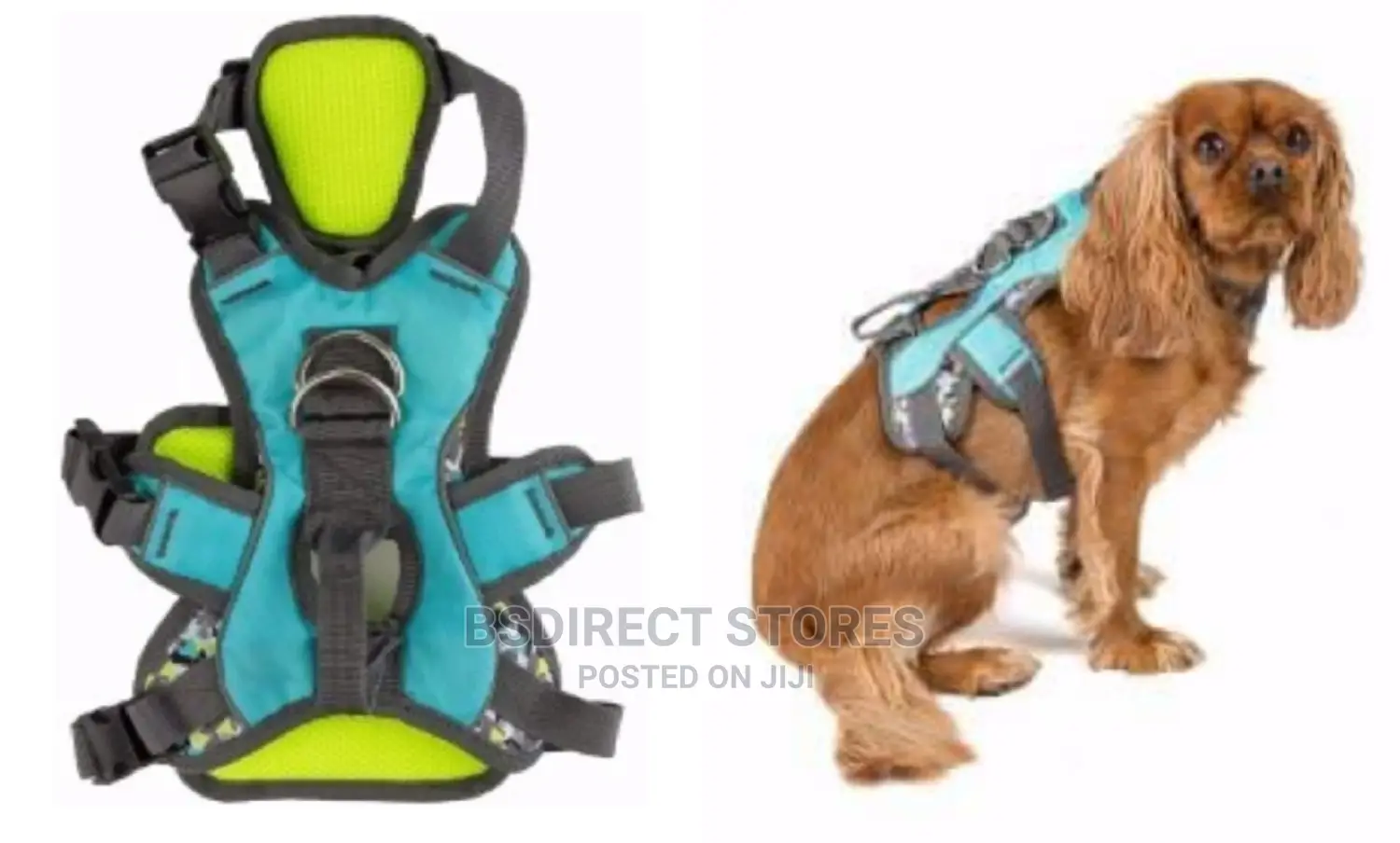 3 Peaks MEDIUM Lime Blue Ultra Fit Excursion Dog Harness