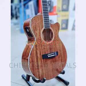Smiger M-215 Walnut Series Electro Acoustic Guitar