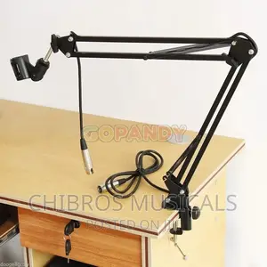 Studio Extensible Table Microphone Arm