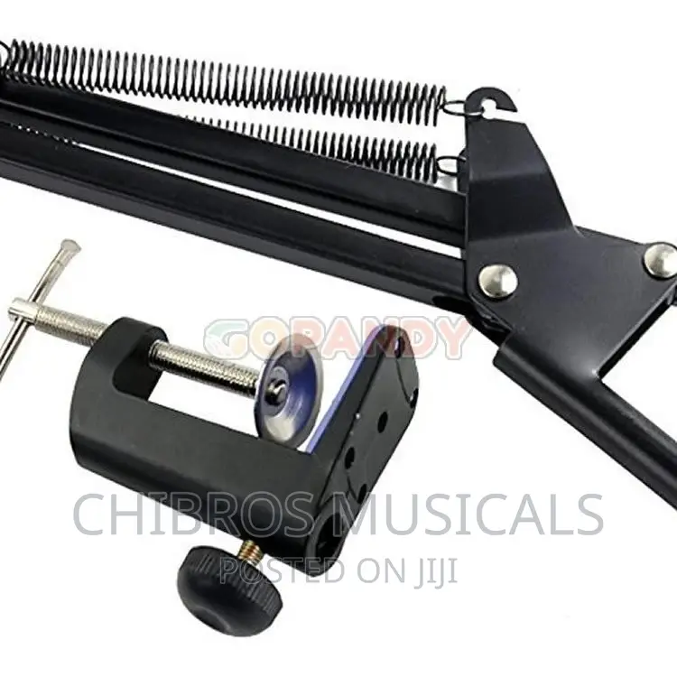 Studio Extensible Table Microphone Arm