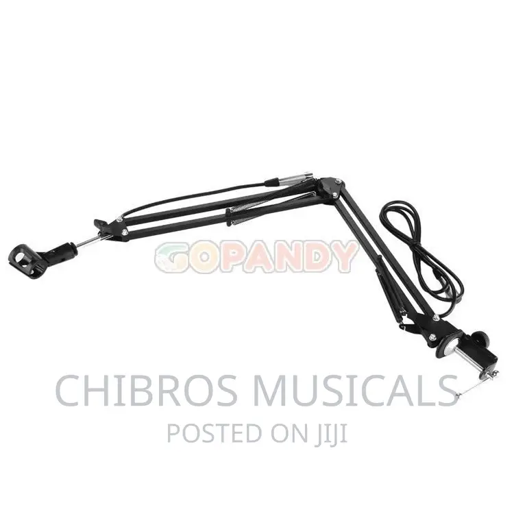 Studio Extensible Table Microphone Arm