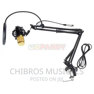 Studio Extensible Table Microphone Arm