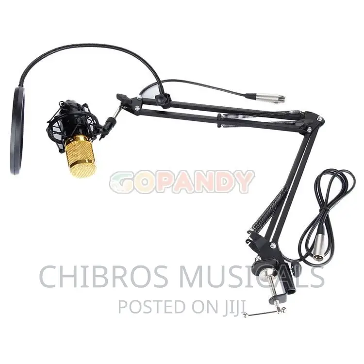 Studio Extensible Table Microphone Arm